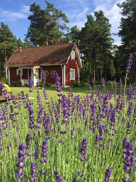 Villa Hanson Noarootsi Eksteriør bilde